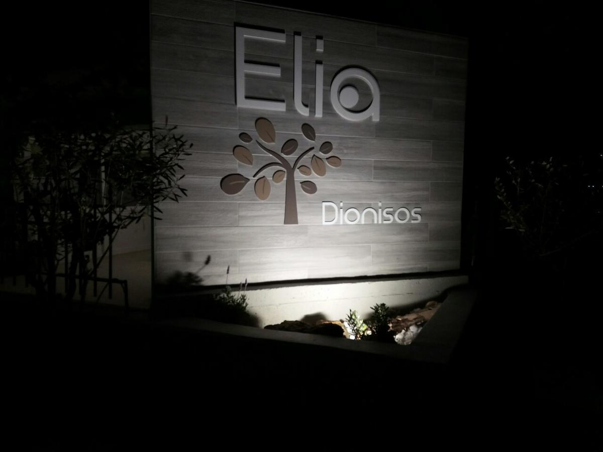 Dionisos Elia Lejlighedshotel Paralia Dionisiou Eksteriør billede